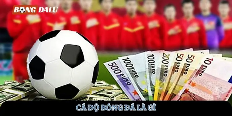 ca-do-bong-da-la-gi