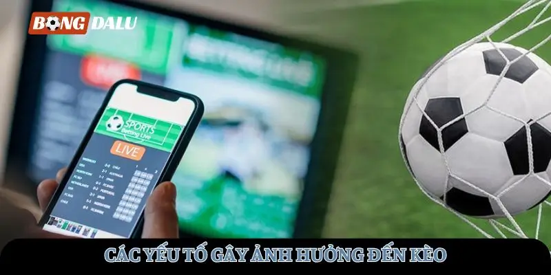 Các yếu tố gây ảnh hưởng