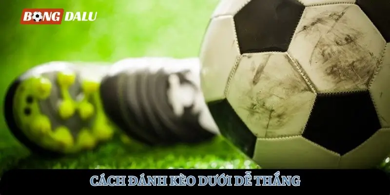 cach-danh-keo-duoi-de-thang