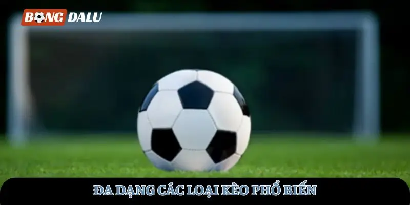 Đa dạng các loại kèo phổ biến