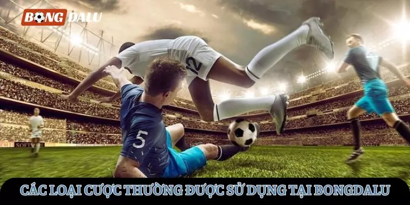 Các loại cược thường được sử dụng tại BONGDALU