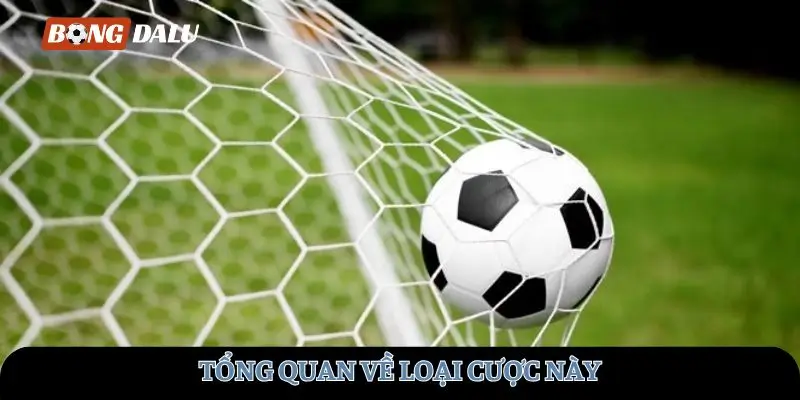 Tổng quan về loại cược này