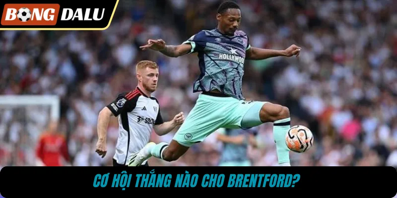 Cơ hội thắng nào cho Brentford?
