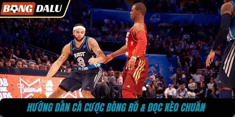 Hướng dẫn cá cược bóng rổ & đọc kèo chuẩn