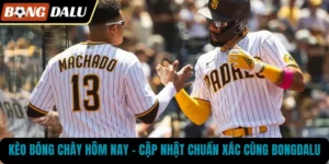 Kèo Bóng Chày Hôm Nay – Cập Nhật Chuẩn Xác Cùng BONGDALU