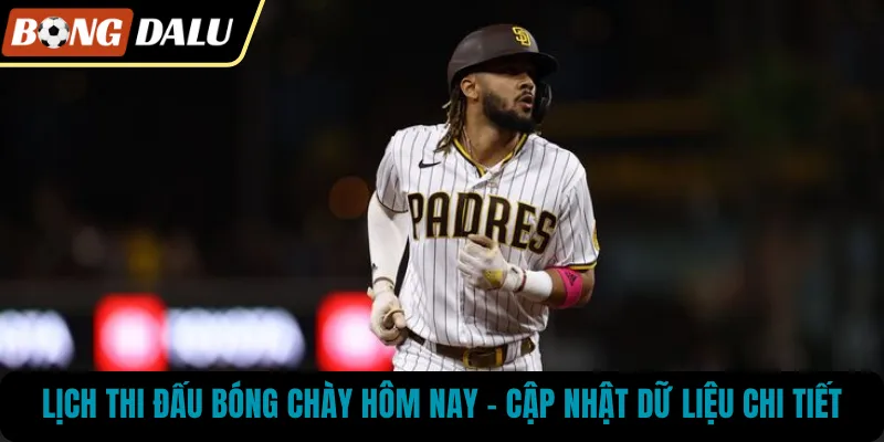 Lịch Thi Đấu Bóng Chày Hôm Nay – Cập Nhật Dữ Liệu Chi Tiết