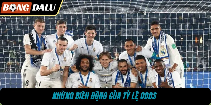 Những biến động của tỷ lệ odds