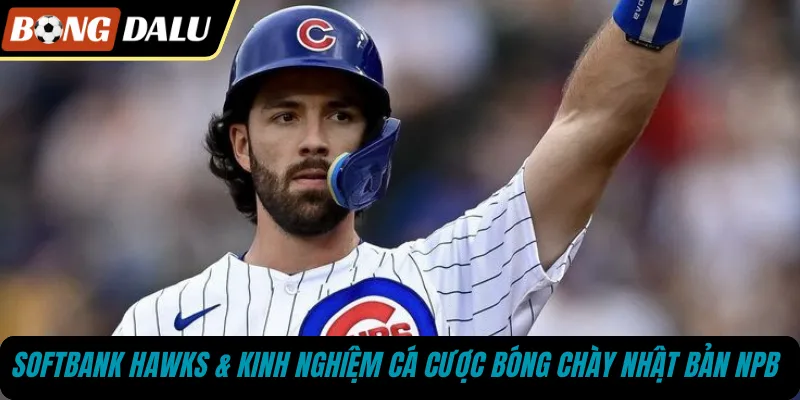 SoftBank Hawks & kinh nghiệm cá cược bóng chày Nhật Bản NPB