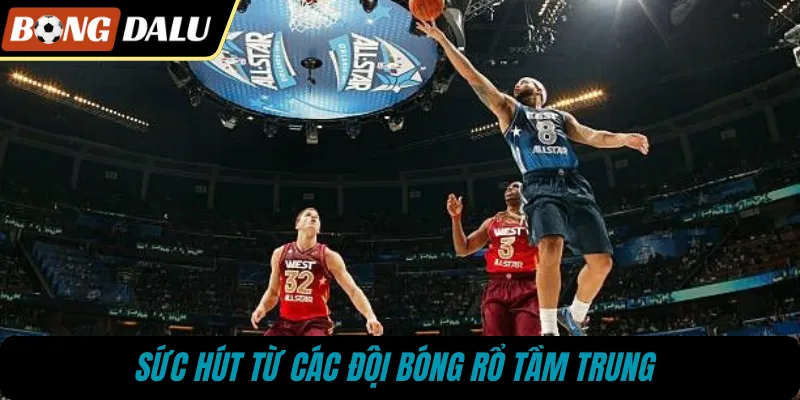 Sức hút từ các đội bóng rổ tầm trung