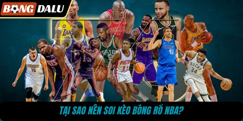 Tại sao nên soi kèo bóng rổ NBA?